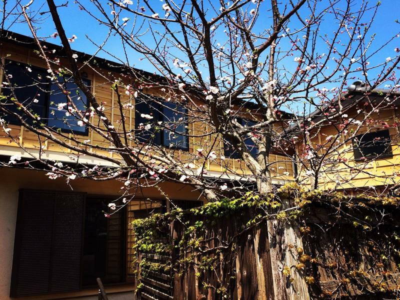 Guest House Kamakura Zen-Ji ภายนอก รูปภาพ